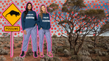 KINDNESS | Hello Possums, please help us raise money & awareness for Australian native wildlife