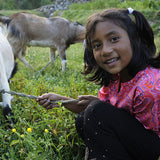 Forget Me Not Charity - 5k RUN