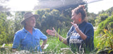 The importance of native plants on both the environment and wildlife
